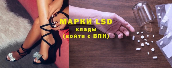 прущие грибы Арсеньев
