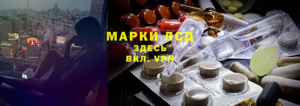 прущие грибы Арсеньев