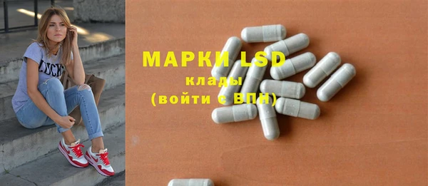 прущие грибы Арсеньев