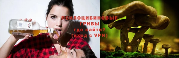 твердый Аркадак