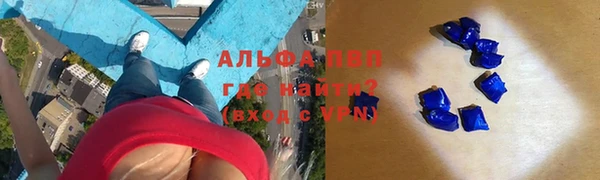 прущие грибы Арсеньев