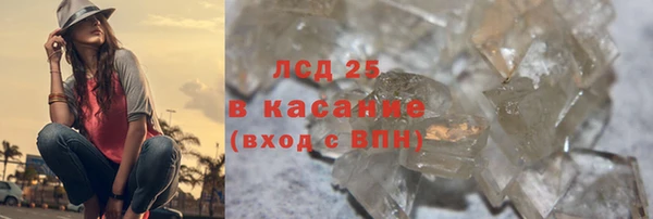 прущие грибы Арсеньев
