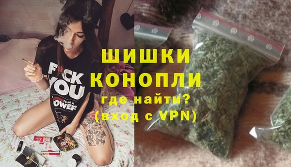 прущие грибы Арсеньев